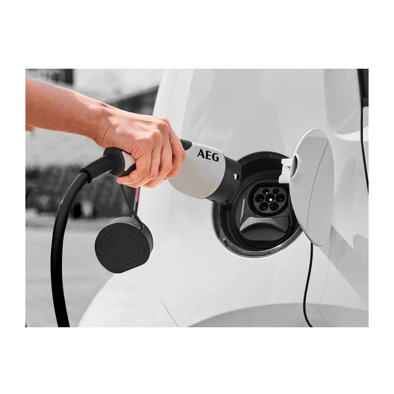 Battery charger - AEG - 201869 - Maximum charging power: 4 Amps. Charg