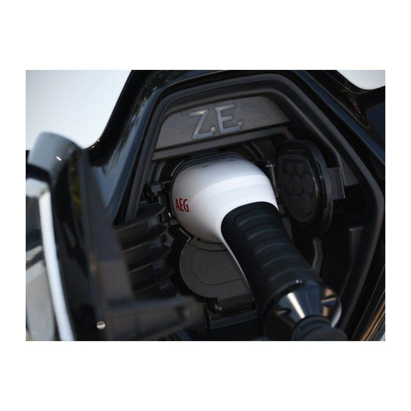 Battery charger - AEG - 201869 - Maximum charging power: 4 Amps. Charg