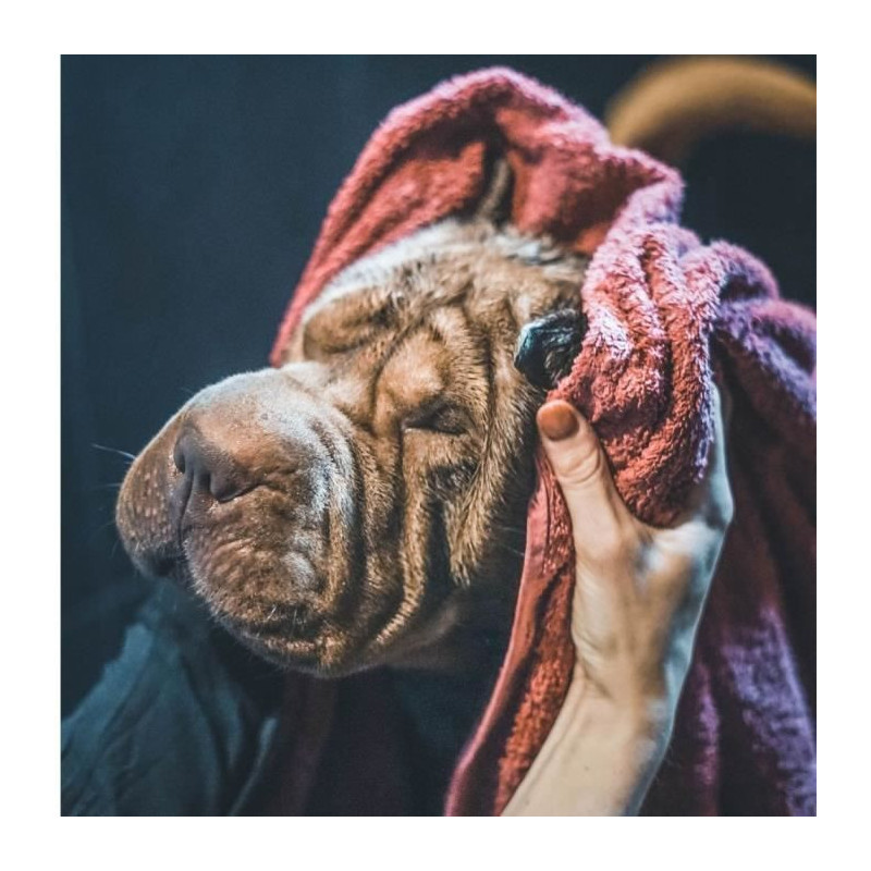 VETOTONIC Tetramethrin shampoo - For dogs and cats
