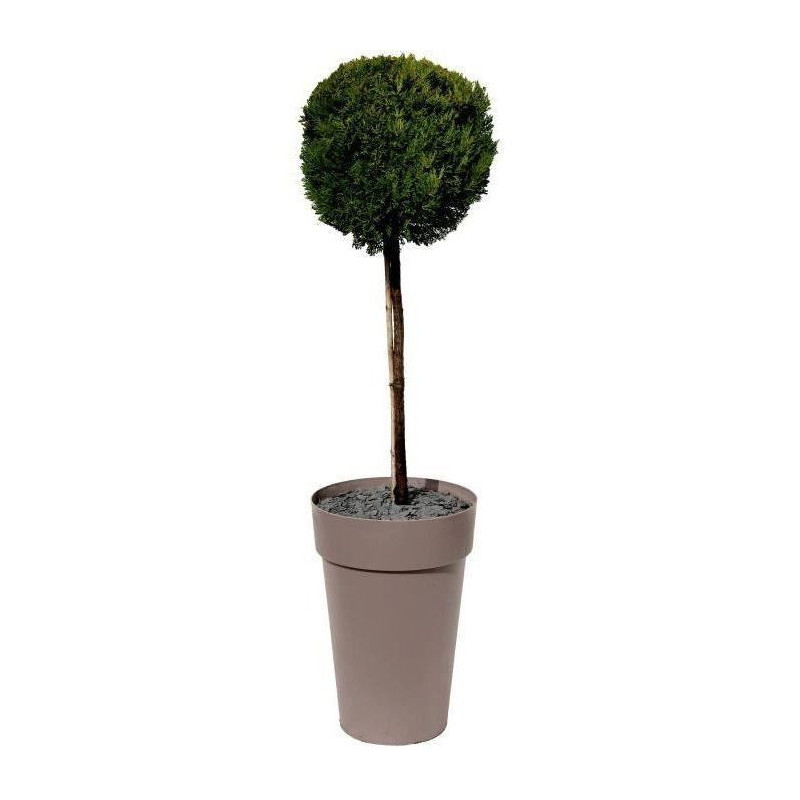 EDA Pot/Tuscan Vase High - Ø 46 x H 65 cm - 67 L - Taupe