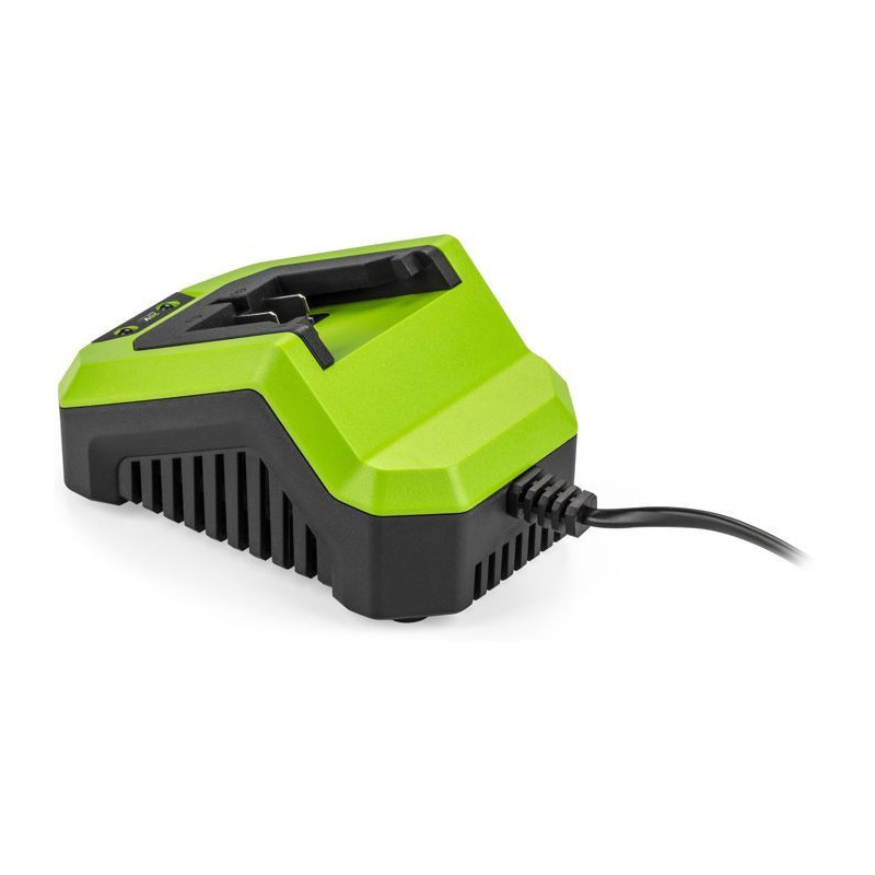 Charger - FIELDMANN - For 20V battery - Charges 2Ah in 60 min - Compat