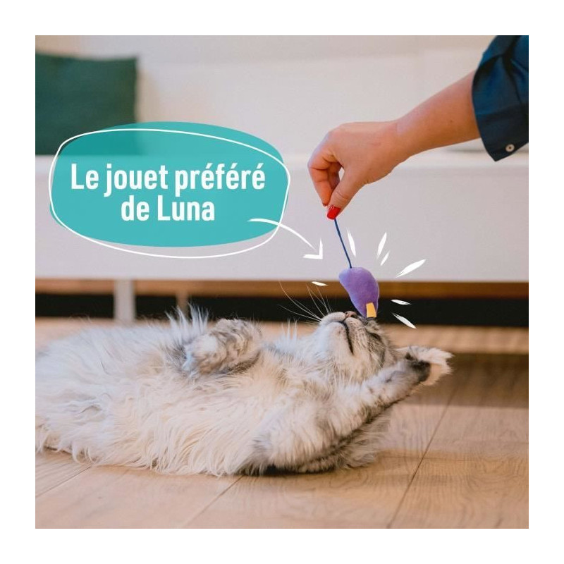 7 Cat Toys - LOVED