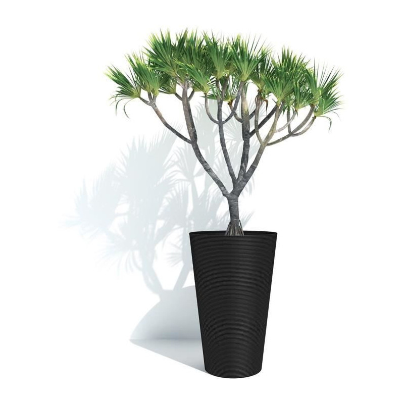 Tall flowerpot - GARDEN ID - Green Care Sense Tall Black-Anthracite -
