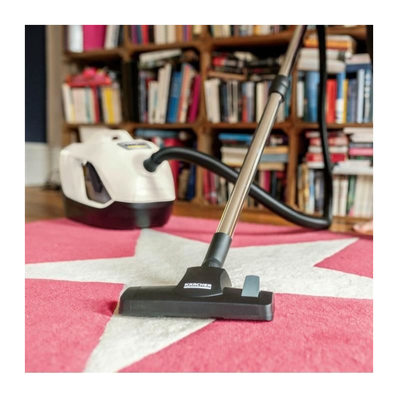 Bagless vacuum cleaner with water filtration DS 6 - white
