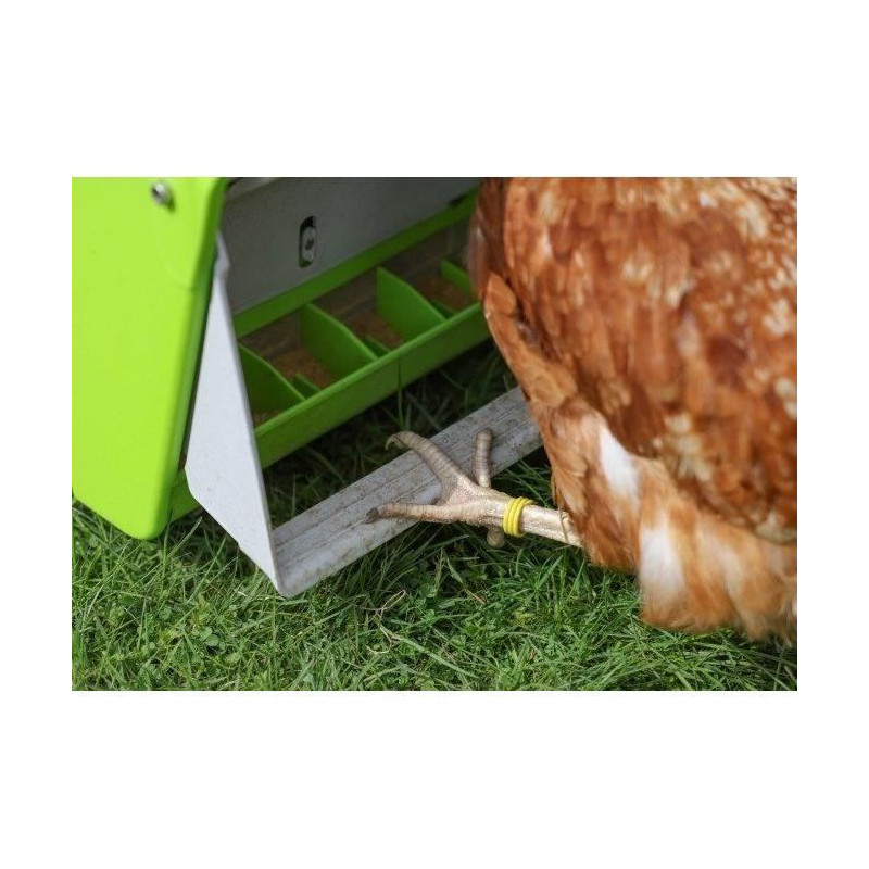 Automatic feeder - KERBL - SmartCoop - Protective flap - 7.5 kg - Gree