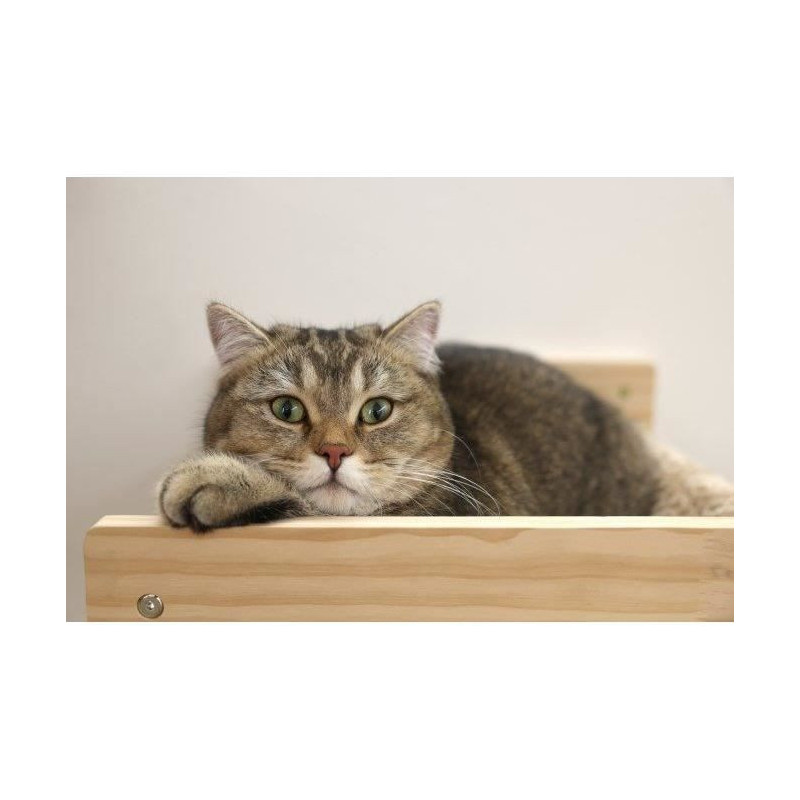 Wall-mounted cat hammock - KERBL - TIMBER - 38 x 33.5 x 16 cm - Solid