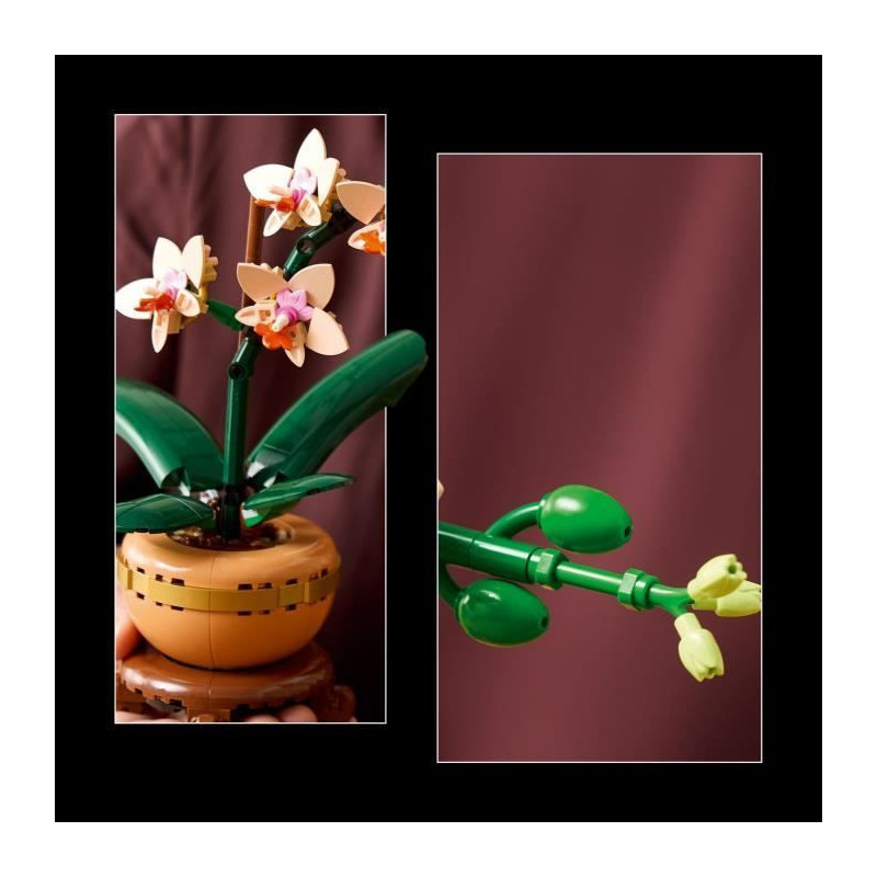 LEGO Botany 10343 Orchid Miniature - Artificial Flowers - Gift Idea fo