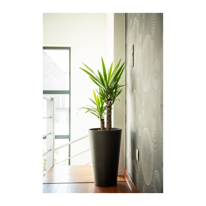 Tall flowerpot - GARDEN ID - Green Care Sense Tall Black-Anthracite -