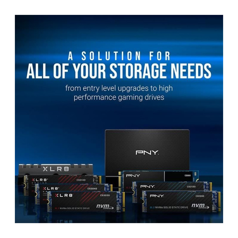 PNY - CS1030 - SSD - 500 GB - M.2 2280 - M280CS1030-500-RB