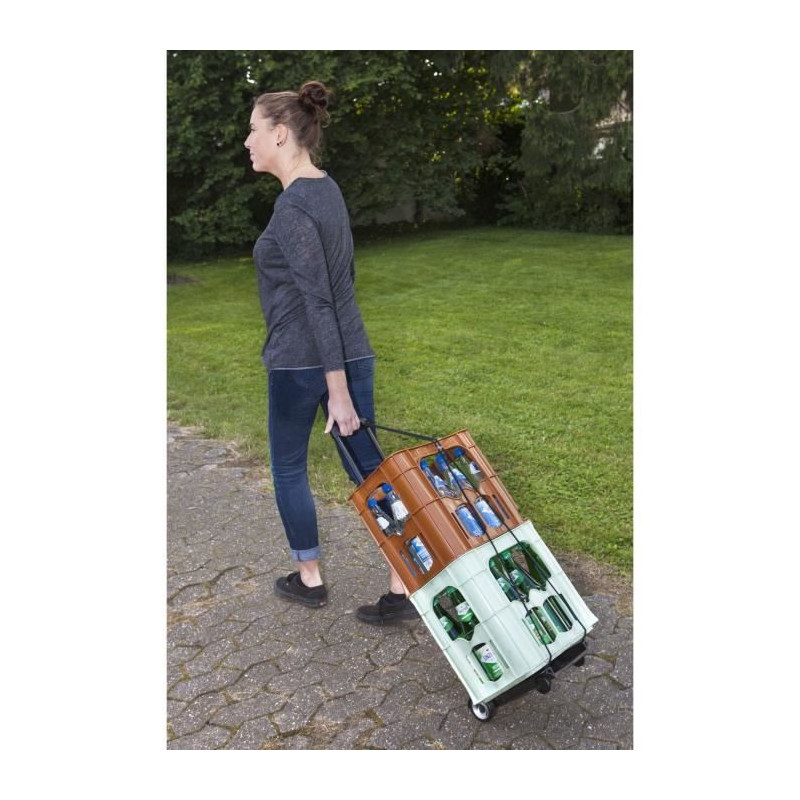 MEISTER Mini devil foldable 45 kg