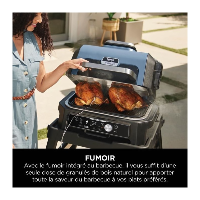 Electric barbecue with smoker and thermoprobe - NINJA - Woodfire Pro C