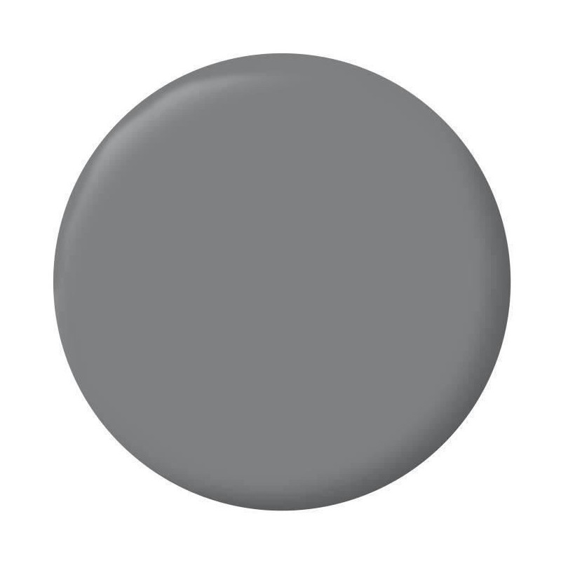 RIPOLIN Velvet Color Paint for Walls, Woodwork, Radiators - Slate Gray