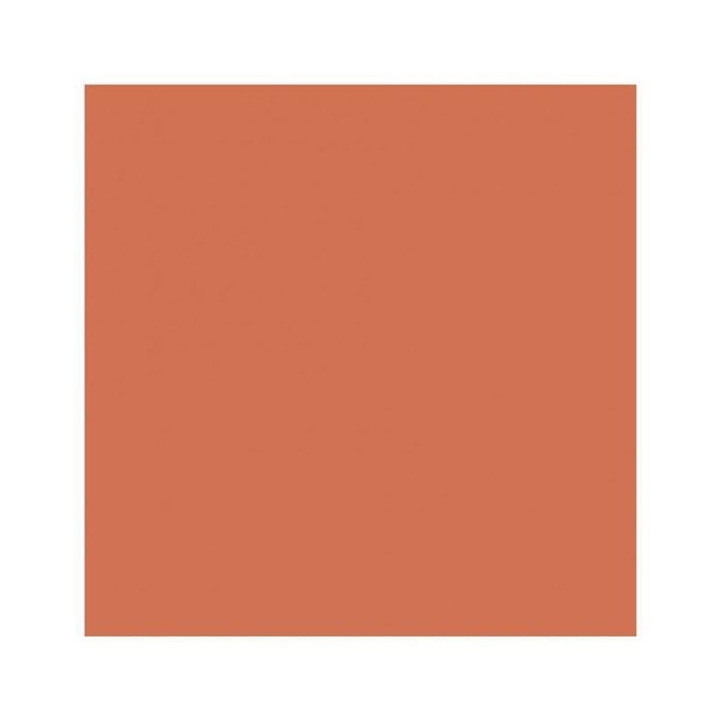 Anti-infiltration terracotta roof - RIPOLIN - 4 L