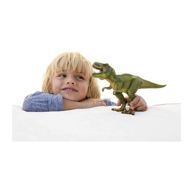 Schleich Figurine 14525 - Dinosaur - T Rex Rex Tyrannosaurus