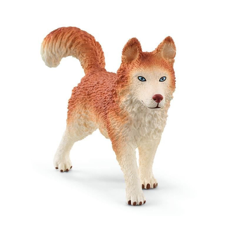 Schleich 42558 Wild Life Antarctica Expedition Set, Wild Animal Figuri