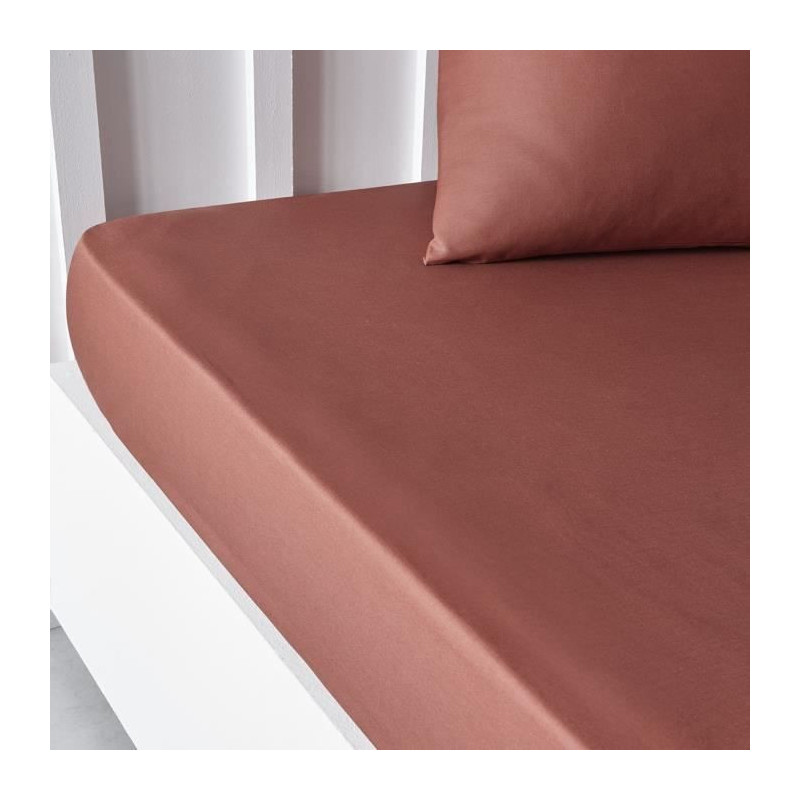 TODAY ESSENTIAL TODAY CHARD - 140 x 200+30 cm - 2 people - 100% UNA CO