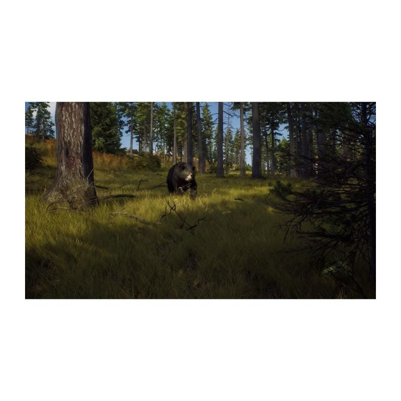 Way of the Hunter Wild Expeditions - PS5 Game