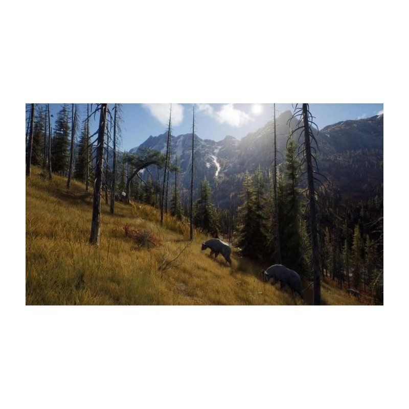 Way of the Hunter Wild Expeditions - PS5 Game