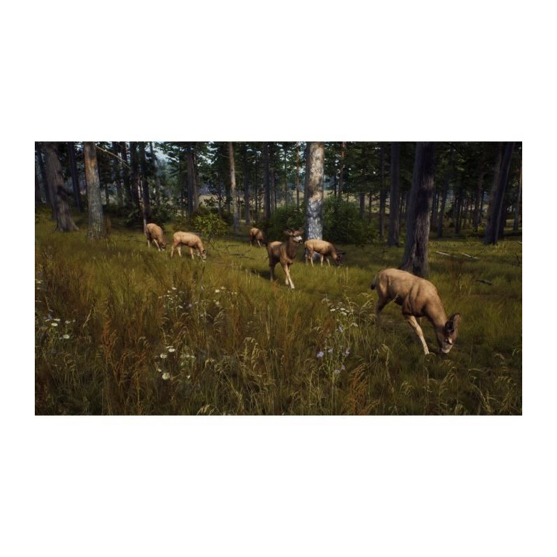 Way of the Hunter Wild Expeditions - PS5 Game