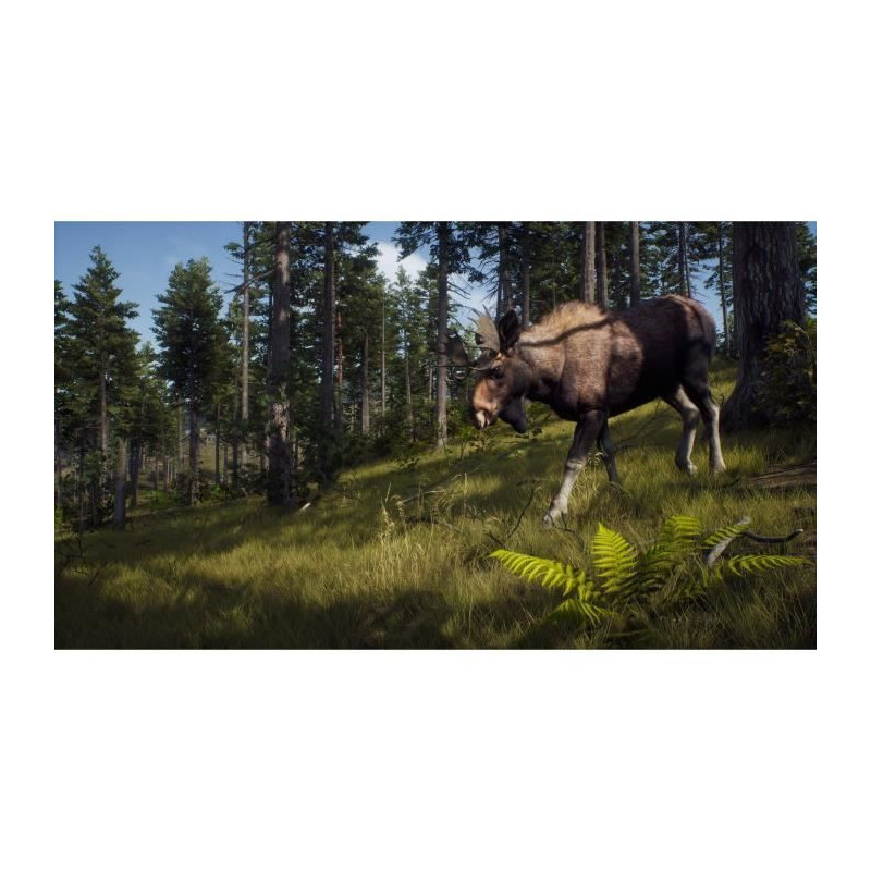 Way of the Hunter Wild Expeditions - PS5 Game