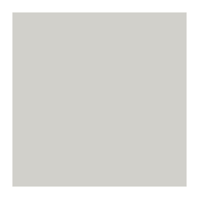 RIPOLIN Ultra Covering Satin Color Paint for Kitchen, Bedroom, Living