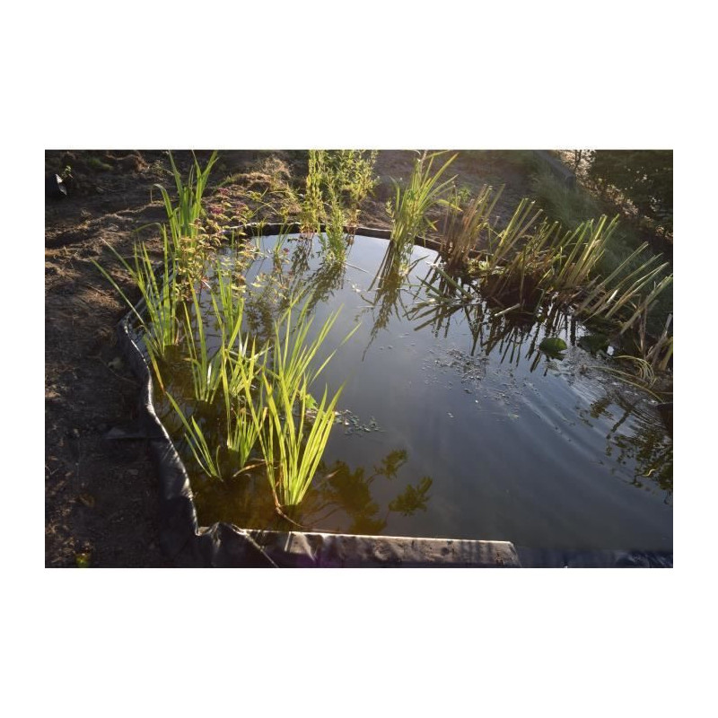 NATURE Borderfix Borderfix PVC Border and Garden Basin - Thickness 7 m