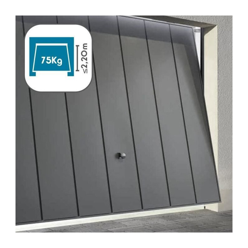AVIDSEN Operator for tilting or sectional garage door 230 V STROMMA 60