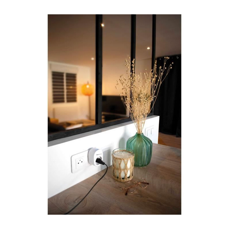 Connected socket - SmartPlug - SCS SENTINEL