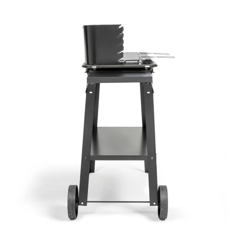 Charcoal barbecue - LIVOO - DOC328 - Stainless steel