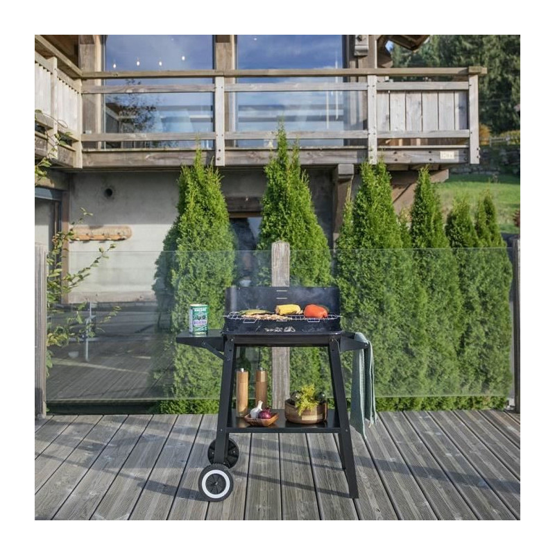 Charcoal barbecue - LIVOO - DOC328 - Stainless steel