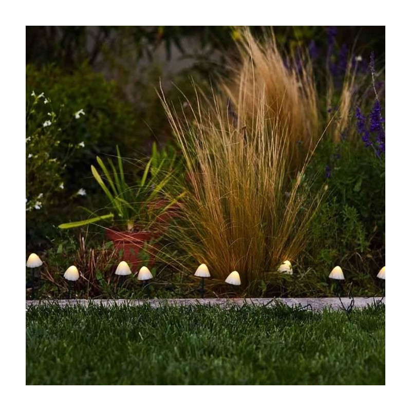 10 mini solar light mushrooms to stick - LUMISKY - CHAMPY - 3.8 m - Pa