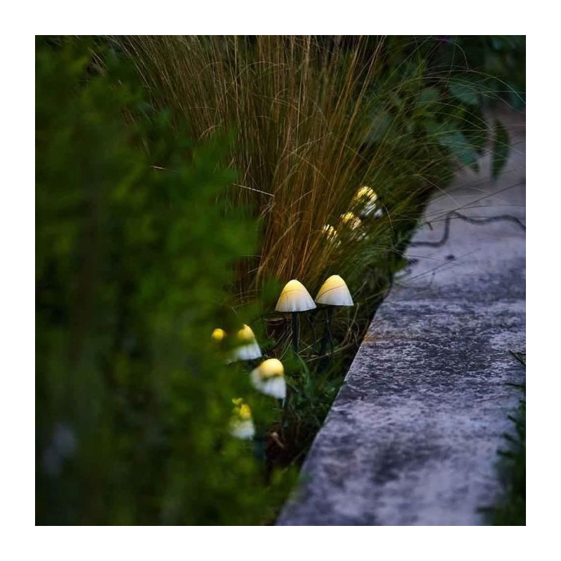 10 mini solar light mushrooms to stick - LUMISKY - CHAMPY - 3.8 m - Pa