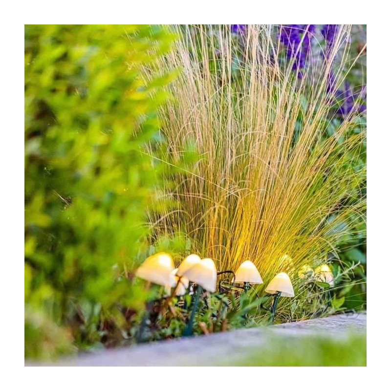 10 mini solar light mushrooms to stick - LUMISKY - CHAMPY - 3.8 m - Pa