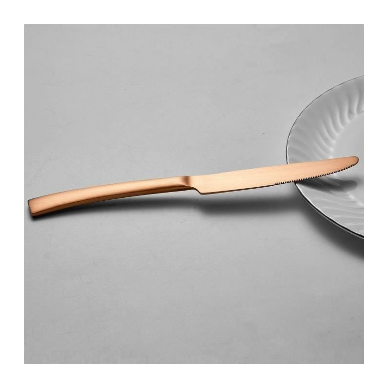 Cutlery set - ARTHUR MARTIN - AM0056 - 24 pieces - Stainless steel - C