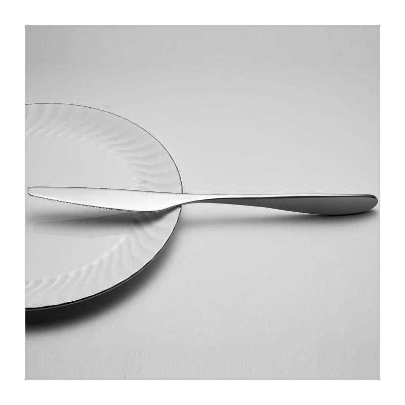Cutlery set - ARTHUR MARTIN - AM0211 - 24 pieces - Stainless steel - P