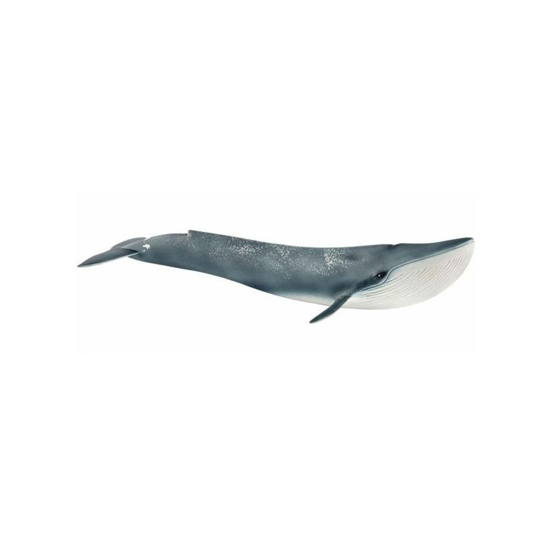 SCHLEICH Figurine 14806 - Wild Animal - Blue Whale