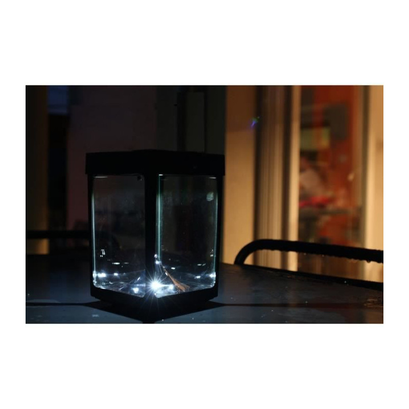 Mini solar tabletop tealight holder - Glass walls - Black