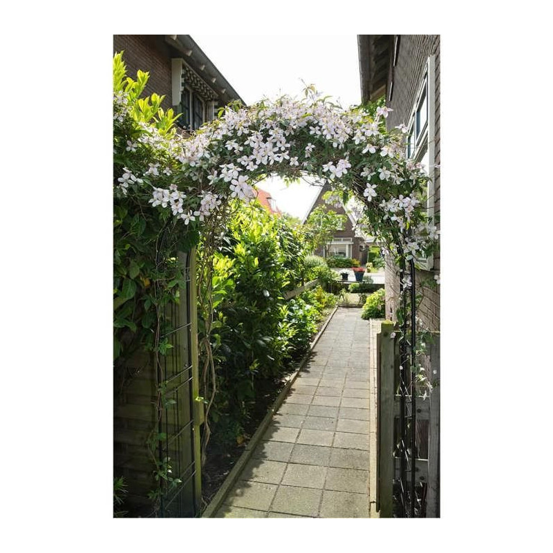 NATURE Pergola arch in galvanized steel 113x38xH229cm - Black