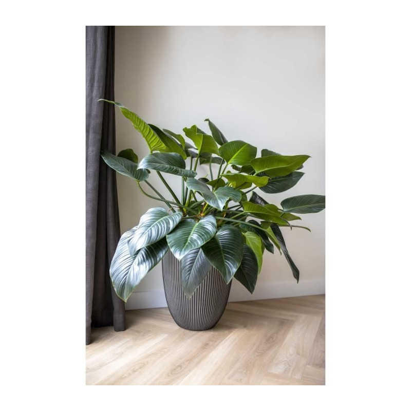 Elegant low vase - CAPI EUROPE - GROOVE NL - 34 x 46 cm - Anthracite