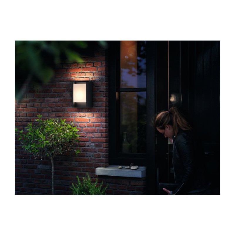 PHILIPS Arbor outdoor wall light 1x6W 230V - Anthracite