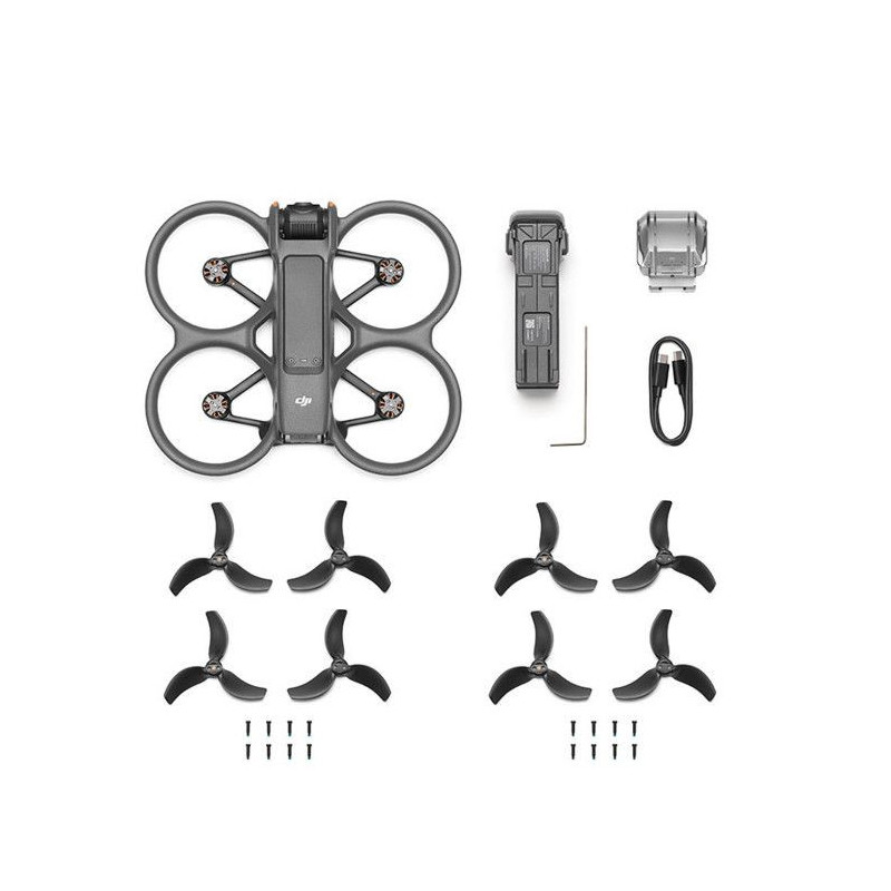 Drone - DJI - Avata 2 - 4K camera - 25 min autonomy - Wi-Fi