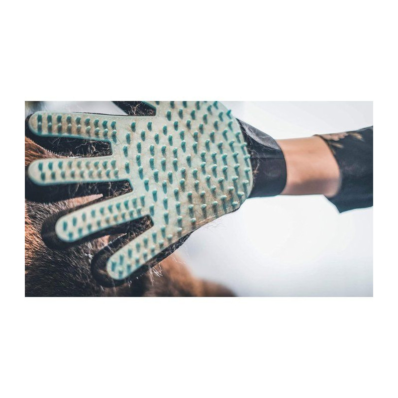 VETOCANIS 4in1 silicone grooming glove for cats and dogs