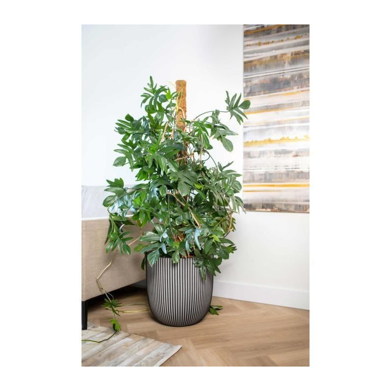Ball flower pot - CAPI EUROPE - GROOVE NL - 43 x 41 cm - Anthracite