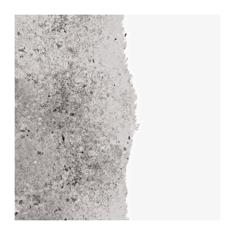 RIPOLIN Anti-humidity primer 0.75l