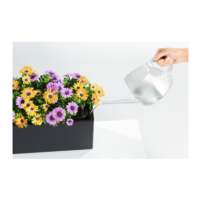 Potted Planting Kit - LECHUZA - BALCONERA 50 - Polypropylene - Brown -