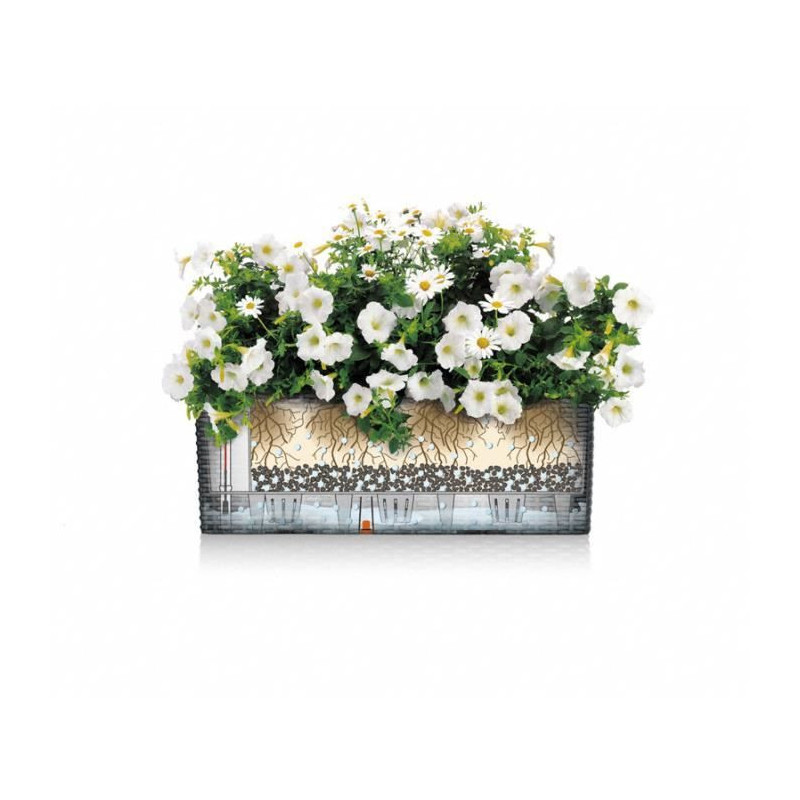 Potted Planting Kit - LECHUZA - BALCONERA 50 - Polypropylene - Brown -