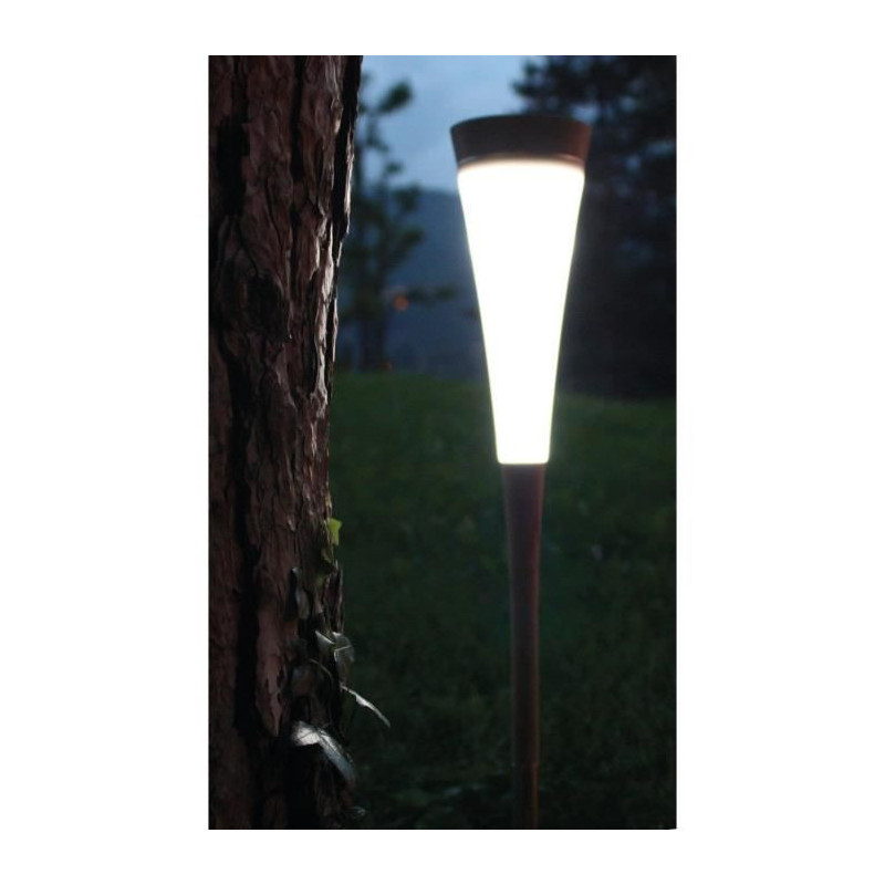 Short Solar Reed - 30 Lumens - White