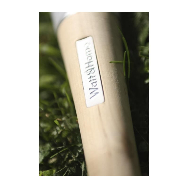 Short Solar Reed - 30 Lumens - White