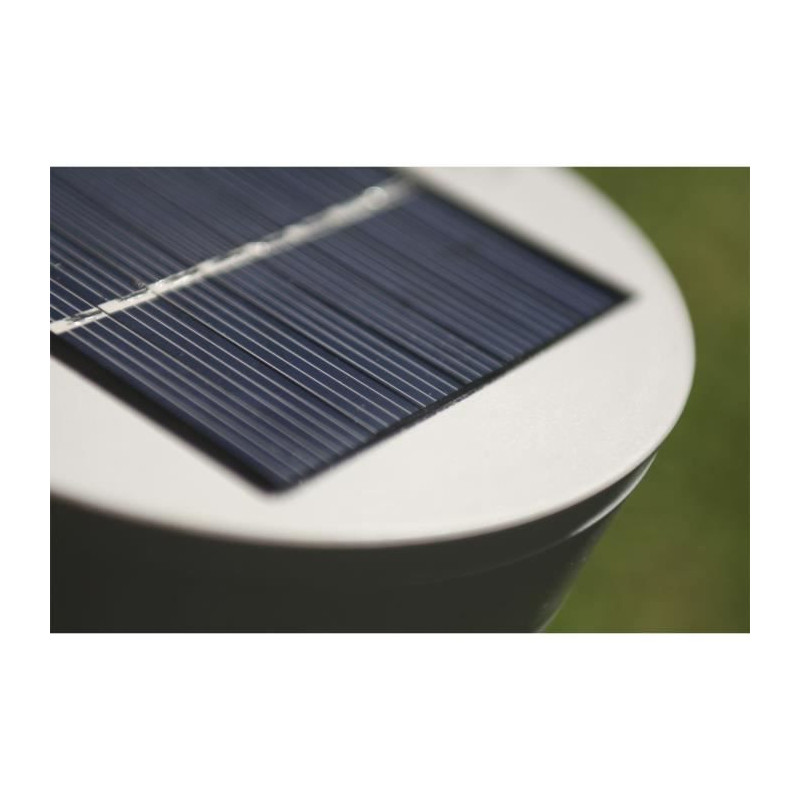 Short Solar Reed - 30 Lumens - White