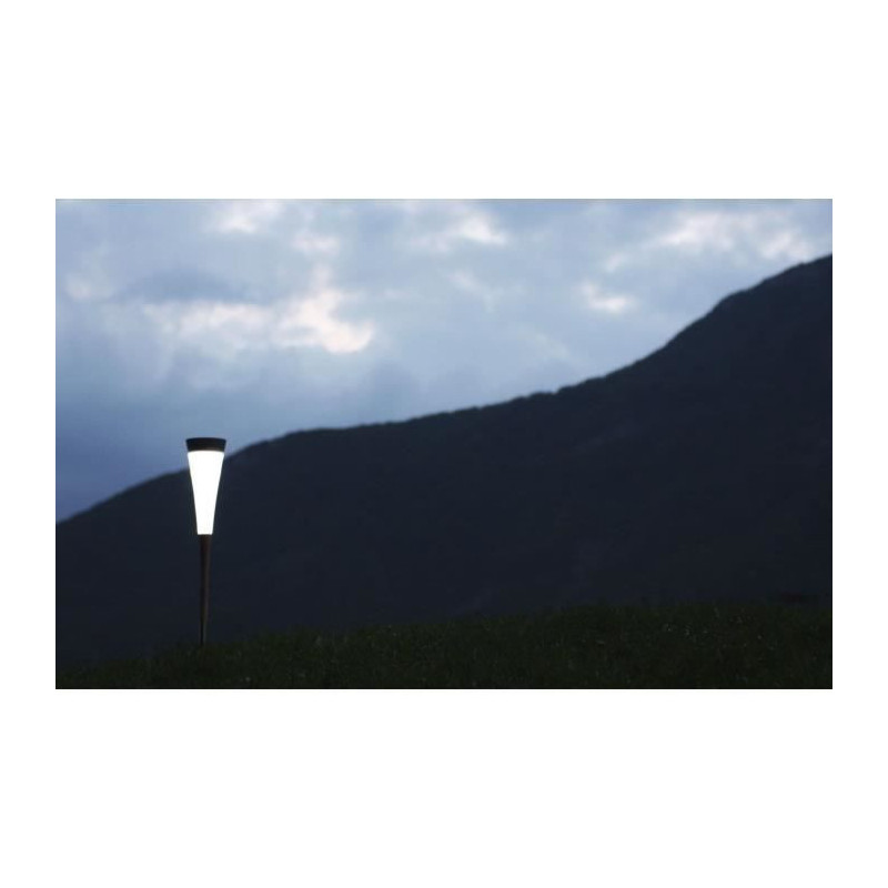 Short Solar Reed - 30 Lumens - White